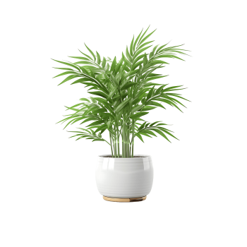 Desk Plant 01