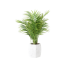 Plant Decor 01 Plant Decor 01
