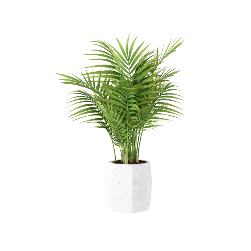 Plant Decor 01 Plant Decor 01