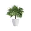 Plant Decor 01 Plant Decor 01