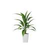 Plant Decor 01 Plant Decor 01