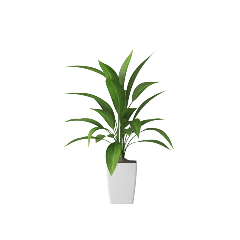 Plant Decor 01 Plant Decor 01