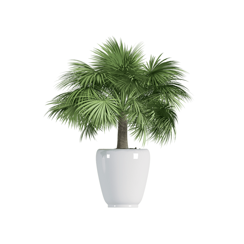 Plant Decor 01 Plant Decor 01