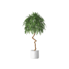 Plant Decor 01 Plant Decor 01