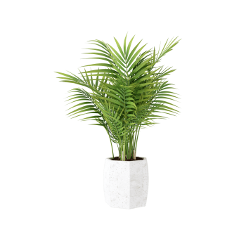 Plant Decor 02