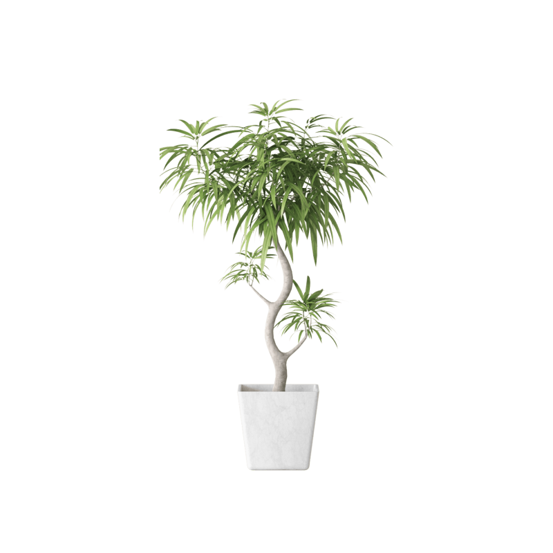 Plant Decor 06 Plant Decor 06