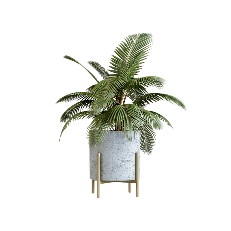 Plant Decor 09 Plant Decor 09