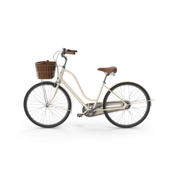City Bike with Basket