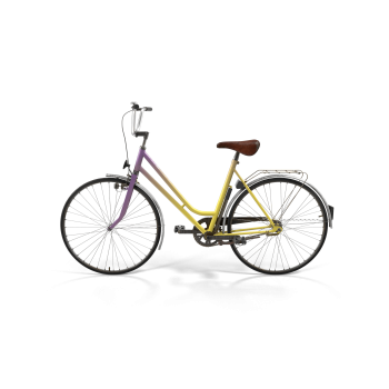 Rainbow Polyvalent Bike