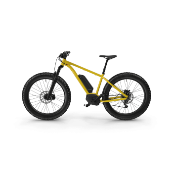 Electric Fat Bike