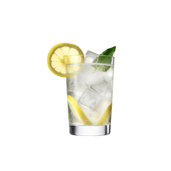 Gin & Tonic